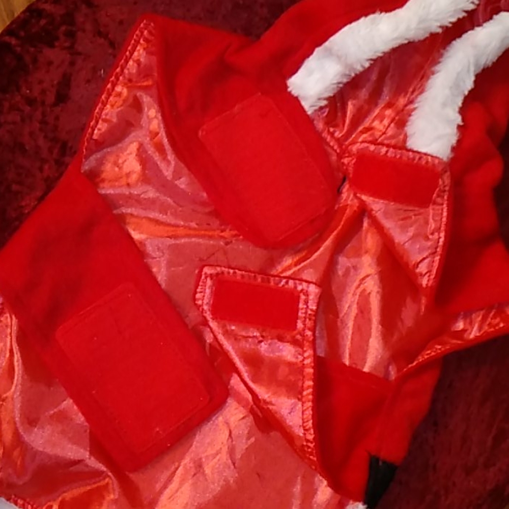 ❤️ Dog Holiday 🎅 Hoodie ❤️ - Picture 7 of 9